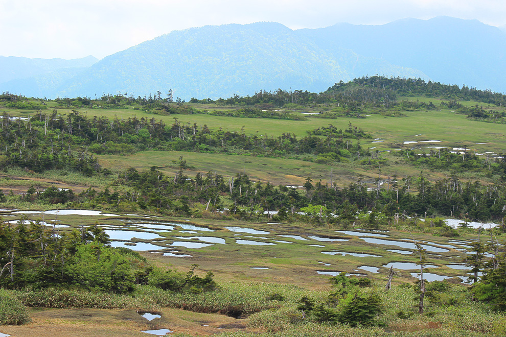 苗場山山頂付近